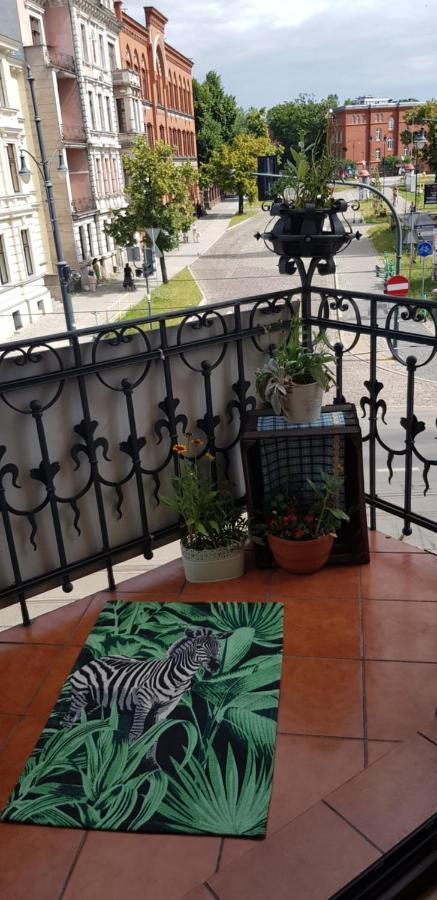 Astronomiczny Apartament , Mieszkanie 2 Pokojowe. Parking. Stary Toruń Extérieur photo