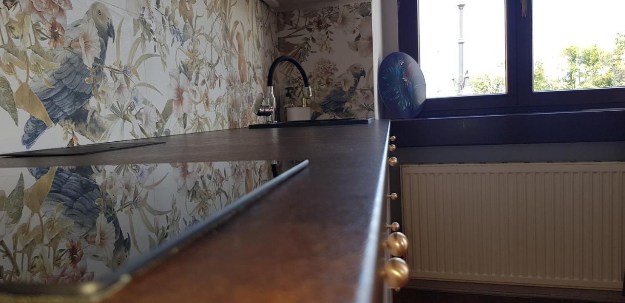 Astronomiczny Apartament , Mieszkanie 2 Pokojowe. Parking. Stary Toruń Extérieur photo